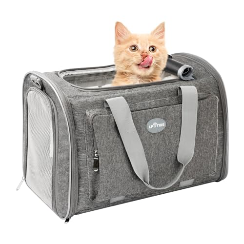 Transporttasche für Katzen, Tragetaschen für Hunde, atmungsaktiv und faltbar, Transportbox für Katzen mit verstellbarem Schultergurt (Grau) von Joyfultails