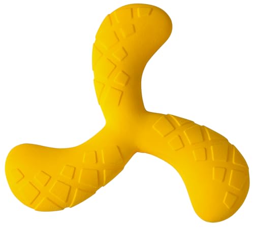 Joyinjojo Schwimmendes Hundespielzeug mit fliegenden Scheiben, langlebiges Kauspielzeug für Hunde, interaktives Apportier-Flyer, Spielzeug, Outdoor-Wasserpool, Hundespielzeug für große, mittelgroße von Joyinjojo