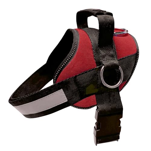 Joyride Basic Essential Hundegeschirr 1.0 für kleine, mittelgroße und große Hunde, Haustierweste ohne Ziehen, mit 3 seitlichen Ringen für die Platzierung der Leine, verstellbar für Training (Red Rush, Joyride Basic Essential Hundegeschirr 1.0 für kleine, mittelgroße und große Hunde, Haustierweste ohne Ziehen, mit 3 seitlichen Ringen für die Platzierung der Leine, verstellbar für Training (Red Rush, von Joyride Harness