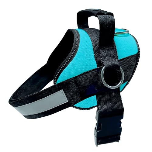 Joyride Basic Essential Hundegeschirr 1.0 für kleine, mittelgroße und große Hunde, Haustierweste ohne Ziehen, mit 3 seitlichen Ringen für die Platzierung der Leine, verstellbar für Training (Blaugrün, Joyride Basic Essential Hundegeschirr 1.0 für kleine, mittelgroße und große Hunde, Haustierweste ohne Ziehen, mit 3 seitlichen Ringen für die Platzierung der Leine, verstellbar für Training (Blaugrün, von Joyride Harness