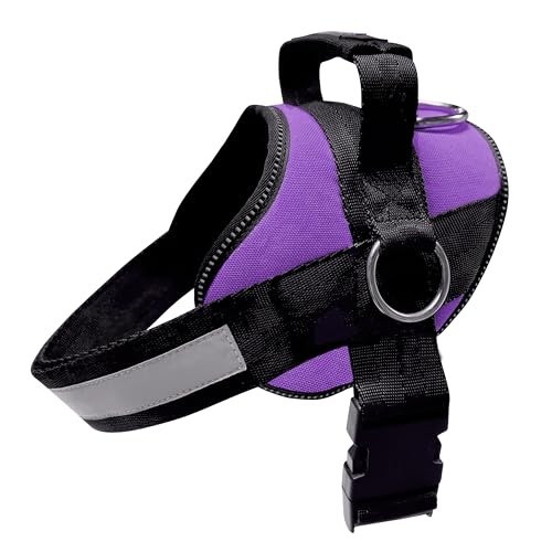 Joyride Basic Essential Hundegeschirr 1.0 für kleine, mittelgroße und große Hunde, kein Ziehen, Haustierweste mit 3 seitlichen Ringen für die Platzierung der Leine, verstellbar für Training (Purple Joyride Basic Essential Hundegeschirr 1.0 für kleine, mittelgroße und große Hunde, kein Ziehen, Haustierweste mit 3 seitlichen Ringen für die Platzierung der Leine, verstellbar für Training (Purple von Joyride Harness