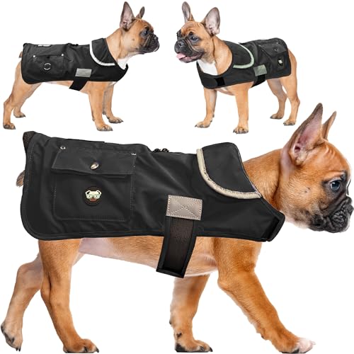 Joyride Harness FrostFlex Winter-Hundejacke, Fleece-gefüttert und wasserabweisend, Schneeanzug mit Taschen für Leckerlis und Kotbeutel, strapazierfähiger Hundemantel für kaltes Wetter Joyride Harness FrostFlex Winter-Hundejacke, Fleece-gefüttert und wasserabweisend, Schneeanzug mit Taschen für Leckerlis und Kotbeutel, strapazierfähiger Hundemantel für kaltes Wetter von Joyride Harness