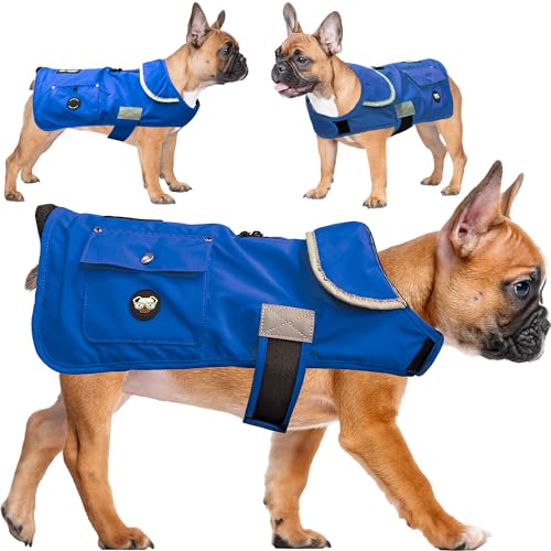 Joyride Harness FrostFlex Winter-Hundejacke, Fleece-gefüttert und wasserabweisend, Schneeanzug mit Taschen für Leckerlis und Kotbeutel, strapazierfähiger Hundemantel für kaltes Wetter Joyride Harness FrostFlex Winter-Hundejacke, Fleece-gefüttert und wasserabweisend, Schneeanzug mit Taschen für Leckerlis und Kotbeutel, strapazierfähiger Hundemantel für kaltes Wetter von Joyride Harness