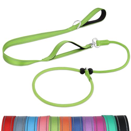 Joytale Doppelter Griff Retrieverleine mit Zugstopp, 1,8m Verhedderungsfreies Trainingsleine für Hunde, Reflektierend Führleine aus weichem Nylon für Kleine und Mittlere Hunde, Grün Joytale Doppelter Griff Retrieverleine mit Zugstopp, 1,8m Verhedderungsfreies Trainingsleine für Hunde, Reflektierend Führleine aus weichem Nylon für Kleine und Mittlere Hunde, Grün von Joytale