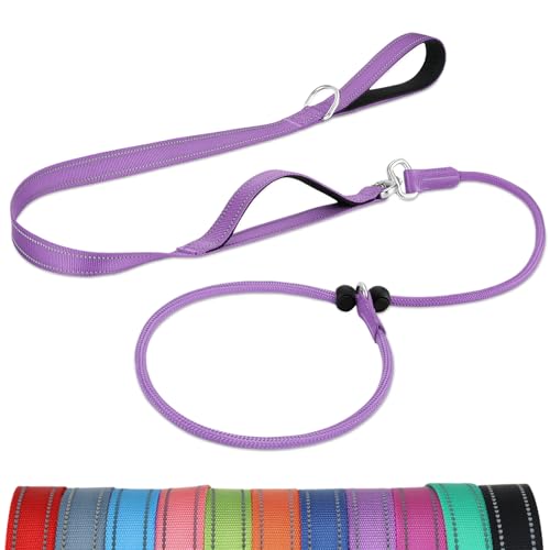 Joytale Doppelter Griff Retrieverleine mit Zugstopp, 1,8m Verhedderungsfreies Trainingsleine für Hunde, Reflektierend Führleine aus weichem Nylon für Kleine und Mittlere Hunde, Lila Joytale Doppelter Griff Retrieverleine mit Zugstopp, 1,8m Verhedderungsfreies Trainingsleine für Hunde, Reflektierend Führleine aus weichem Nylon für Kleine und Mittlere Hunde, Lila von Joytale