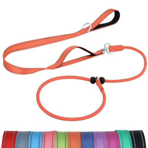 Joytale Doppelter Griff Retrieverleine mit Zugstopp, 1,8m Verhedderungsfreies Trainingsleine für Hunde, Reflektierend Führleine aus weichem Nylon für Kleine und Mittlere Hunde, Orange Joytale Doppelter Griff Retrieverleine mit Zugstopp, 1,8m Verhedderungsfreies Trainingsleine für Hunde, Reflektierend Führleine aus weichem Nylon für Kleine und Mittlere Hunde, Orange von Joytale