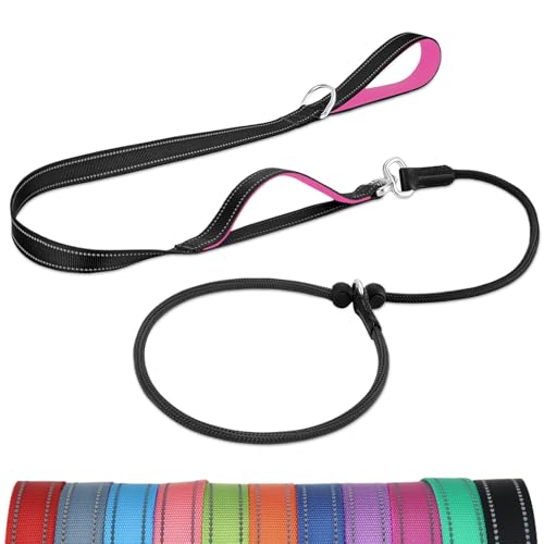 Joytale Doppelter Griff Retrieverleine mit Zugstopp, 1,8m Verhedderungsfreies Trainingsleine für Hunde, Reflektierend Führleine aus weichem Nylon für Kleine und Mittlere Hunde, Schwarz-Leuchtend Rosa Joytale Doppelter Griff Retrieverleine mit Zugstopp, 1,8m Verhedderungsfreies Trainingsleine für Hunde, Reflektierend Führleine aus weichem Nylon für Kleine und Mittlere Hunde, Schwarz-Leuchtend Rosa von Joytale