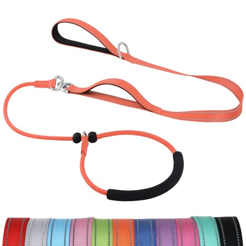 Joytale Doppelter Griff Retrieverleine mit Zugstopp, Gepolstert Zugstopp Halsband Hunde, Trainingsleine für Hunde - 2 in 1 Halsband Hund und Leine für Kleine, Mittlere und Große Hunde, 1,8M, Orange von Joytale