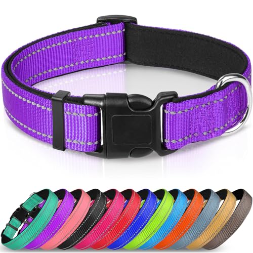 Joytale Halsband Hund, Gepolstertes Hundehalsband Breit aus Neopren Nylon Hundehalsband Verstellbar für Große Hunde, Weich und Reflektierend Hundehalsbänder, L, Lila Joytale Halsband Hund, Gepolstertes Hundehalsband Breit aus Neopren Nylon Hundehalsband Verstellbar für Große Hunde, Weich und Reflektierend Hundehalsbänder, L, Lila von Joytale