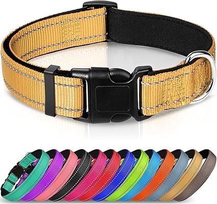 Joytale Halsband Hund, Gepolstertes Hundehalsband Breit aus Neopren Nylon Hundehalsband Verstellbar für Kleine Hunde, Weich und Reflektierend Hundehalsbänder, S, Braun Joytale Halsband Hund, Gepolstertes Hundehalsband Breit aus Neopren Nylon Hundehalsband Verstellbar für Kleine Hunde, Weich und Reflektierend Hundehalsbänder, S, Braun von Joytale