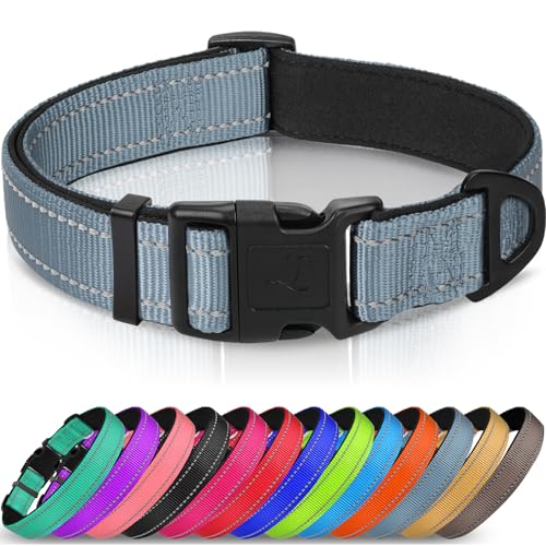 Joytale Halsband Hund, Gepolstertes Hundehalsband Breit aus Neopren Nylon Hundehalsband Verstellbar für Kleine Hunde, Weich und Reflektierend Hundehalsbänder, S, Grau Joytale Halsband Hund, Gepolstertes Hundehalsband Breit aus Neopren Nylon Hundehalsband Verstellbar für Kleine Hunde, Weich und Reflektierend Hundehalsbänder, S, Grau von Joytale