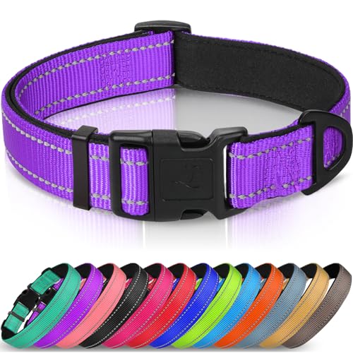 Joytale Halsband Hund, Gepolstertes Hundehalsband Breit aus Neopren Nylon Hundehalsband Verstellbar für Kleine Hunde, Weich und Reflektierend Hundehalsbänder, S, Lila Joytale Halsband Hund, Gepolstertes Hundehalsband Breit aus Neopren Nylon Hundehalsband Verstellbar für Kleine Hunde, Weich und Reflektierend Hundehalsbänder, S, Lila von Joytale