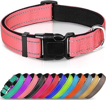 Joytale Halsband Hund, Gepolstertes Hundehalsband Breit aus Neopren Nylon Hundehalsband Verstellbar für Kleine Hunde, Weich und Reflektierend Hundehalsbänder, S, Rosa Joytale Halsband Hund, Gepolstertes Hundehalsband Breit aus Neopren Nylon Hundehalsband Verstellbar für Kleine Hunde, Weich und Reflektierend Hundehalsbänder, S, Rosa von Joytale
