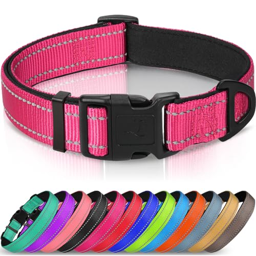 Joytale Halsband Hund, Gepolstertes Hundehalsband Breit aus Neopren Nylon Hundehalsband Verstellbar für Mittelgroße Hunde, Weich und Reflektierend Hundehalsbänder, M, Hotpink Joytale Halsband Hund, Gepolstertes Hundehalsband Breit aus Neopren Nylon Hundehalsband Verstellbar für Mittelgroße Hunde, Weich und Reflektierend Hundehalsbänder, M, Hotpink von Joytale