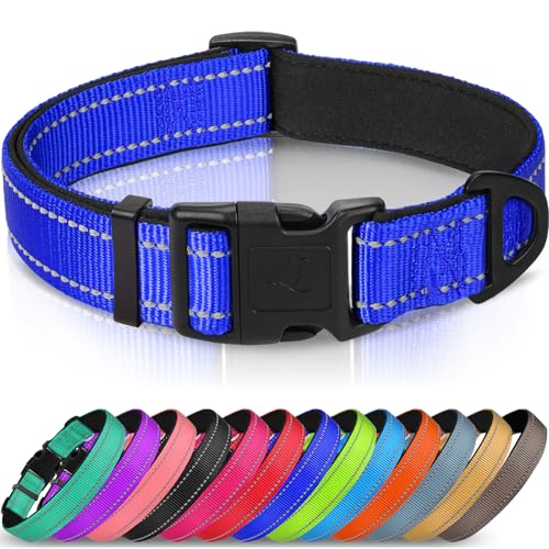 Joytale Halsband Hund, Gepolstertes Hundehalsband Breit aus Neopren Nylon Hundehalsband Verstellbar für Mittelgroße Hunde, Weich und Reflektierend Hundehalsbänder, M, Königsblau Joytale Halsband Hund, Gepolstertes Hundehalsband Breit aus Neopren Nylon Hundehalsband Verstellbar für Mittelgroße Hunde, Weich und Reflektierend Hundehalsbänder, M, Königsblau von Joytale