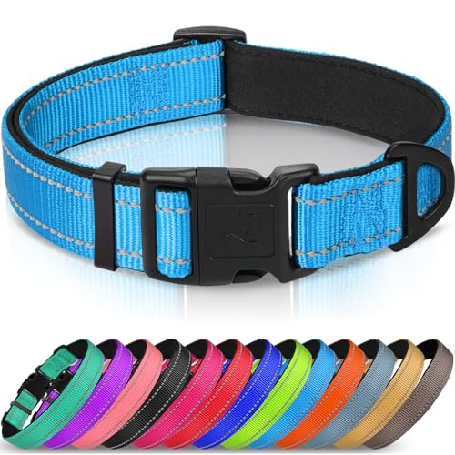 Joytale Halsband Hund, Gepolstertes Hundehalsband Breit aus Neopren Nylon Hundehalsband Verstellbar für Welpen, Weich und Reflektierend Hundehalsbänder, XS, Blau Joytale Halsband Hund, Gepolstertes Hundehalsband Breit aus Neopren Nylon Hundehalsband Verstellbar für Welpen, Weich und Reflektierend Hundehalsbänder, XS, Blau von Joytale