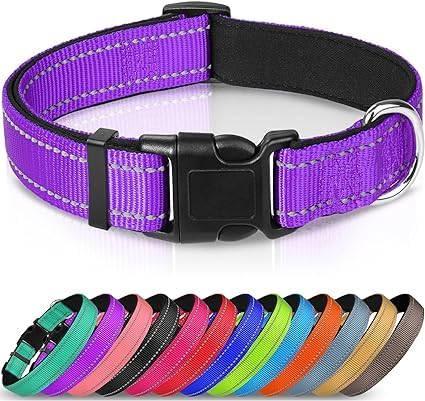 Joytale Halsband Hund, Gepolstertes Hundehalsband Breit aus Neopren Nylon Hundehalsband Verstellbar für Welpen, Weich und Reflektierend Hundehalsbänder, XS, Lila Joytale Halsband Hund, Gepolstertes Hundehalsband Breit aus Neopren Nylon Hundehalsband Verstellbar für Welpen, Weich und Reflektierend Hundehalsbänder, XS, Lila von Joytale