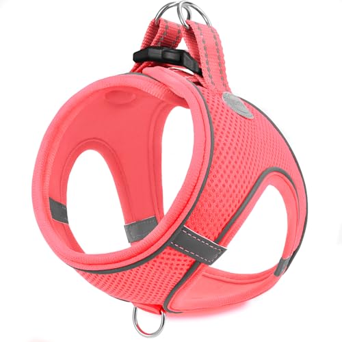 Joytale Hundegeschirr, Reflektierend Weich Gepolstert Hunde Geschirr, Air-Mesh Atmungsaktiv Brustgeschirr für Katze Welpen, Kleine Hunde, XXS, Pink von Joytale