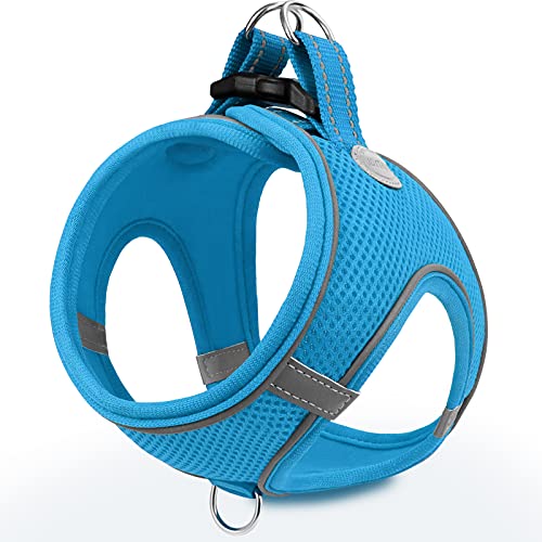 Joytale Hundegeschirr, Reflektierend Weich Gepolstert Hunde Geschirr, Air-Mesh Atmungsaktiv Brustgeschirr für Katze Welpen Hunde, XXXS, Baby Blau von Joytale