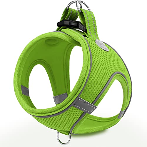 Joytale Hundegeschirr, Reflektierend Weich Gepolstert Hunde Geschirr, Air-Mesh Atmungsaktiv Brustgeschirr für Mittelgroße Hunde, XL, Grün Joytale Hundegeschirr, Reflektierend Weich Gepolstert Hunde Geschirr, Air-Mesh Atmungsaktiv Brustgeschirr für Mittelgroße Hunde, XL, Grün von Joytale
