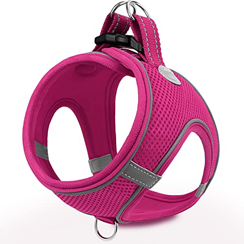 Joytale Hundegeschirr, Reflektierend Weich Gepolstert Hunde Geschirr, Air-Mesh Atmungsaktiv Brustgeschirr für Mittelgroße Hunde, XL, Leuchtend Rosa Joytale Hundegeschirr, Reflektierend Weich Gepolstert Hunde Geschirr, Air-Mesh Atmungsaktiv Brustgeschirr für Mittelgroße Hunde, XL, Leuchtend Rosa von Joytale