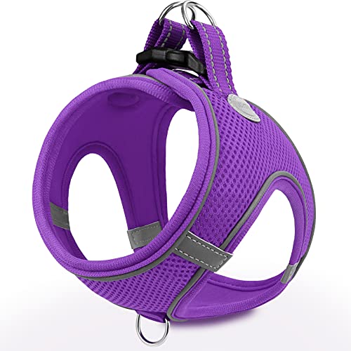 Joytale Hundegeschirr, Reflektierend Weich Gepolstert Hunde Geschirr, Air-Mesh Atmungsaktiv Brustgeschirr für Mittelgroße Hunde, XL, Lila Joytale Hundegeschirr, Reflektierend Weich Gepolstert Hunde Geschirr, Air-Mesh Atmungsaktiv Brustgeschirr für Mittelgroße Hunde, XL, Lila von Joytale