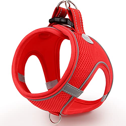Joytale Hundegeschirr, Reflektierend Weich Gepolstert Hunde Geschirr, Air-Mesh Atmungsaktiv Brustgeschirr für Mittelgroße Hunde, XL, Rot Joytale Hundegeschirr, Reflektierend Weich Gepolstert Hunde Geschirr, Air-Mesh Atmungsaktiv Brustgeschirr für Mittelgroße Hunde, XL, Rot von Joytale