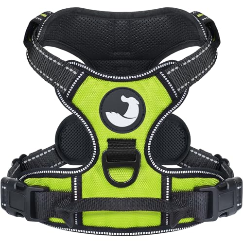 Joytale Hundegeschirr Grosse Hunde, reflektierendes Geschirr Hund, luftdurchlässige Anti Zug Hundegeschirre, verstellbares Brustgeschirr mit Griff beim Führen und Training, Grün, L Joytale Hundegeschirr Grosse Hunde, reflektierendes Geschirr Hund, luftdurchlässige Anti Zug Hundegeschirre, verstellbares Brustgeschirr mit Griff beim Führen und Training, Grün, L von Joytale