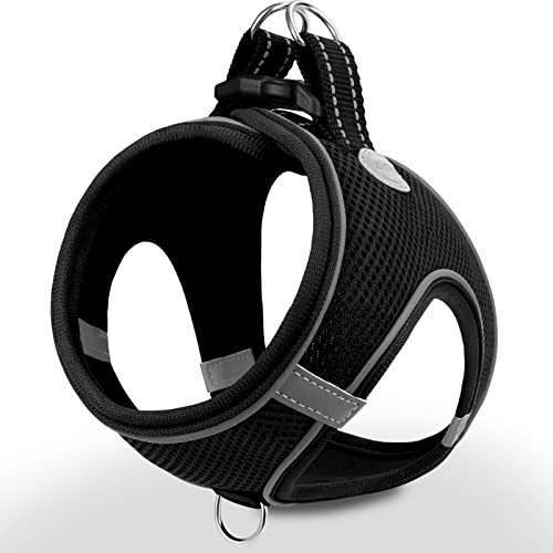 Joytale Hundegeschirr Kleine Hunde, Reflektierend Weich Gepolstert Geschirr, Air-Mesh Brustgeschirr Hund klein, S, Schwarz Joytale Hundegeschirr Kleine Hunde, Reflektierend Weich Gepolstert Geschirr, Air-Mesh Brustgeschirr Hund klein, S, Schwarz von Joytale