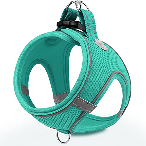 Joytale Hundegeschirr Kleine Hunde, Reflektierend Weich Gepolstert Geschirr, Air-Mesh Brustgeschirr Hund klein, S, Türkis Joytale Hundegeschirr Kleine Hunde, Reflektierend Weich Gepolstert Geschirr, Air-Mesh Brustgeschirr Hund klein, S, Türkis von Joytale