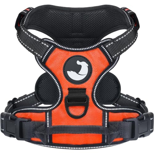 Joytale Hundegeschirr mittelgroße Hunde, reflektierendes Geschirr Hund,luftdurchlässige Anti Zug Hundegeschirr, verstellbares Brustgeschirr mit Griff beim Führen und Training, Orange, S Joytale Hundegeschirr mittelgroße Hunde, reflektierendes Geschirr Hund,luftdurchlässige Anti Zug Hundegeschirr, verstellbares Brustgeschirr mit Griff beim Führen und Training, Orange, S von Joytale