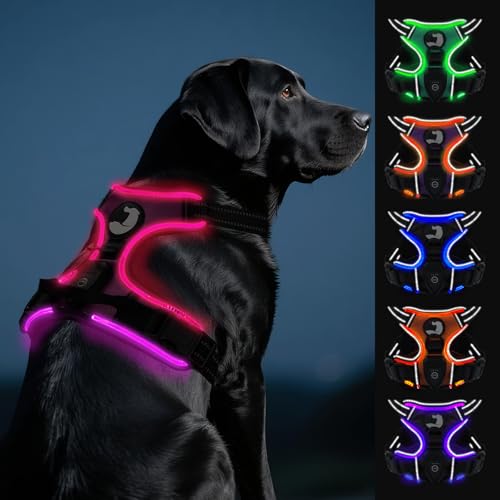 Joytale Hundegeschirr Leuchtend Aufladbar für Große Hunde, No Pull LED Hundegeschirr Reflektierend mit Griff, Gepolstertes Leuchtgeschirr Verstellbar für Nachtspaziergang, Hotpink, L von Joytale