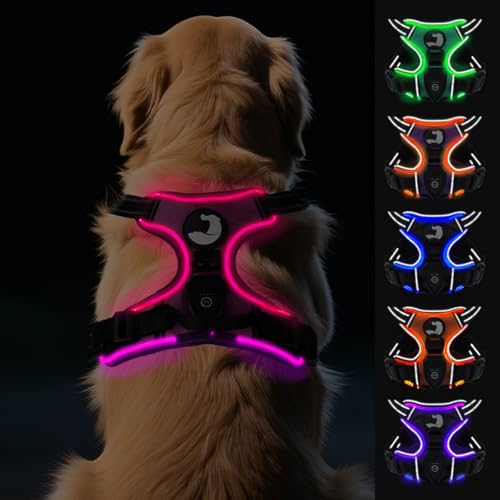 Joytale Hundegeschirr Leuchtend Aufladbar für Große Hunde, No Pull LED Hundegeschirr Reflektierend mit Griff, Gepolstertes Leuchtgeschirr Verstellbar für Nachtspaziergang, Hotpink, XL von Joytale