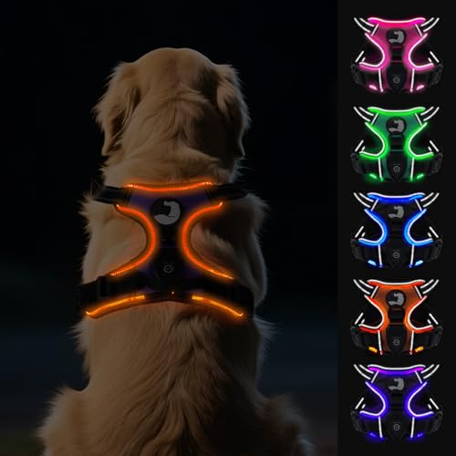 Joytale Hundegeschirr Leuchtend Aufladbar für Große Hunde, No Pull LED Hundegeschirr Reflektierend mit Griff, Gepolstertes Leuchtgeschirr Verstellbar für Nachtspaziergang, Lila, XL Joytale Hundegeschirr Leuchtend Aufladbar für Große Hunde, No Pull LED Hundegeschirr Reflektierend mit Griff, Gepolstertes Leuchtgeschirr Verstellbar für Nachtspaziergang, Lila, XL von Joytale