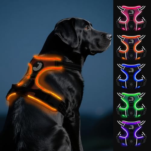 Joytale Hundegeschirr Leuchtend Aufladbar für Große Hunde, No Pull LED Hundegeschirr Reflektierend mit Griff, Gepolstertes Leuchtgeschirr Verstellbar für Nachtspaziergang, Orange, L von Joytale