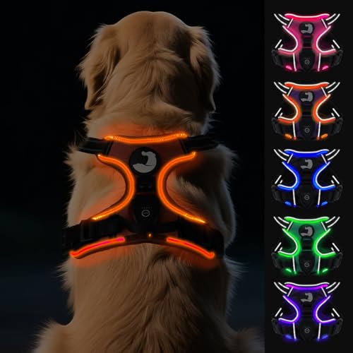Joytale Hundegeschirr Leuchtend Aufladbar für Große Hunde, No Pull LED Hundegeschirr Reflektierend mit Griff, Gepolstertes Leuchtgeschirr Verstellbar für Nachtspaziergang, Orange, XL von Joytale