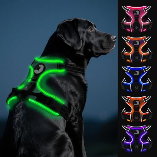 Joytale Hundegeschirr Leuchtend Aufladbar für Große Hunde, No Pull LED Hundegeschirr Reflektierend mit Griff, Gepolstertes Leuchtgeschirr Verstellbar für Nachtspaziergang,Grün, L von Joytale