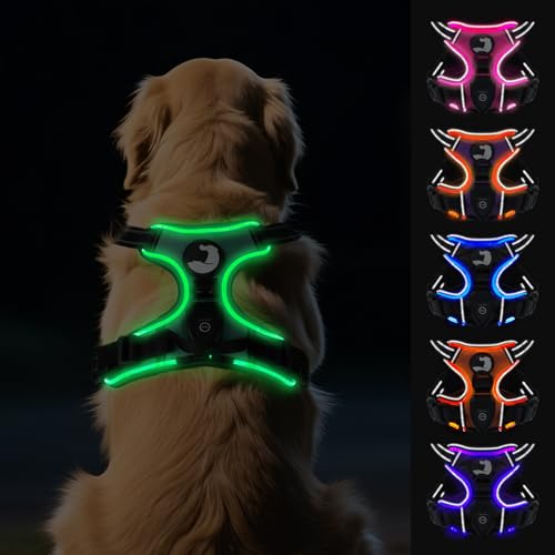 Joytale Hundegeschirr Leuchtend Aufladbar für Große Hunde, No Pull LED Hundegeschirr Reflektierend mit Griff, Gepolstertes Leuchtgeschirr Verstellbar für Nachtspaziergang,Grün, XL von Joytale