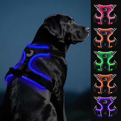 Joytale Hundegeschirr Leuchtend Aufladbar für Große Hunde, No Pull LED Hundegeschirr Reflektierend mit Griff, Gepolstertes Leuchtgeschirr Verstellbar für Nachtspaziergang,Schwarzblau,L von Joytale
