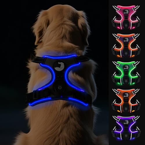 Joytale Hundegeschirr Leuchtend Aufladbar für Große Hunde, No Pull LED Hundegeschirr Reflektierend mit Griff, Gepolstertes Leuchtgeschirr Verstellbar für Nachtspaziergang,Schwarzblau,XL von Joytale