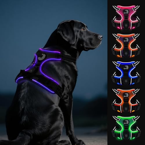 Joytale Hundegeschirr Leuchtend Aufladbar für Große Hunde, No Pull LED Hundegeschirr Reflektierend mit Griff, Gepolstertes Leuchtgeschirr Verstellbar für Nachtspaziergang,Schwarzlila,L Joytale Hundegeschirr Leuchtend Aufladbar für Große Hunde, No Pull LED Hundegeschirr Reflektierend mit Griff, Gepolstertes Leuchtgeschirr Verstellbar für Nachtspaziergang,Schwarzlila,L von Joytale