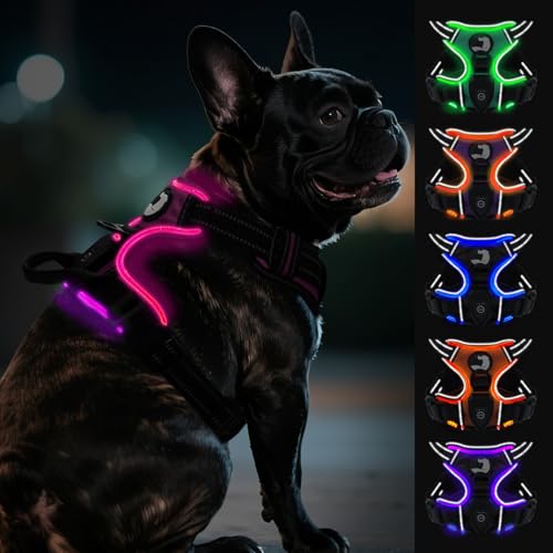 Joytale Hundegeschirr Leuchtend Aufladbar für Kleine Hunde, No Pull LED Hundegeschirr Reflektierend mit Griff, Gepolstertes Leuchtgeschirr Verstellbar für Nachtspaziergang, Hotpink, S von Joytale