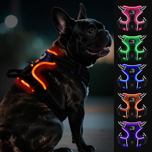 Joytale Hundegeschirr Leuchtend Aufladbar für Kleine Hunde, No Pull LED Hundegeschirr Reflektierend mit Griff, Gepolstertes Leuchtgeschirr Verstellbar für Nachtspaziergang, Lila, S von Joytale