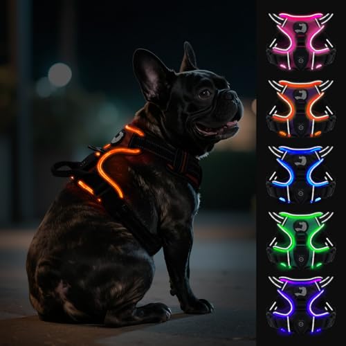 Joytale Hundegeschirr Leuchtend Aufladbar für Kleine Hunde, No Pull LED Hundegeschirr Reflektierend mit Griff, Gepolstertes Leuchtgeschirr Verstellbar für Nachtspaziergang, Orange, S Joytale Hundegeschirr Leuchtend Aufladbar für Kleine Hunde, No Pull LED Hundegeschirr Reflektierend mit Griff, Gepolstertes Leuchtgeschirr Verstellbar für Nachtspaziergang, Orange, S von Joytale
