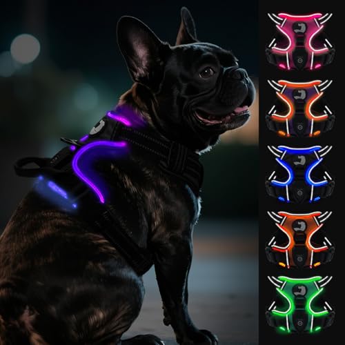 Joytale Hundegeschirr Leuchtend Aufladbar für Kleine Hunde, No Pull LED Hundegeschirr Reflektierend mit Griff, Gepolstertes Leuchtgeschirr Verstellbar für Nachtspaziergang, Schwarzlila,S von Joytale