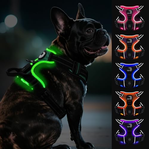 Joytale Hundegeschirr Leuchtend Aufladbar für Kleine Hunde, No Pull LED Hundegeschirr Reflektierend mit Griff, Gepolstertes Leuchtgeschirr Verstellbar für Nachtspaziergang,Grün, S von Joytale