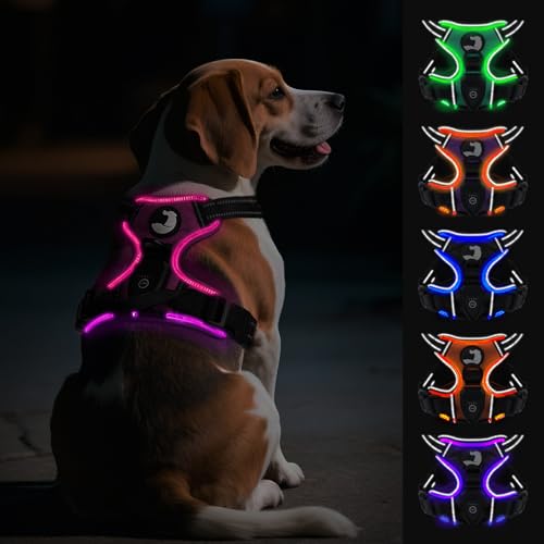 Joytale Hundegeschirr Leuchtend Aufladbar für Mittelgroße Hunde, No Pull LED Hundegeschirr Reflektierend mit Griff, Gepolstertes Leuchtgeschirr Verstellbar für Nachtspaziergang, Hotpink, M Joytale Hundegeschirr Leuchtend Aufladbar für Mittelgroße Hunde, No Pull LED Hundegeschirr Reflektierend mit Griff, Gepolstertes Leuchtgeschirr Verstellbar für Nachtspaziergang, Hotpink, M von Joytale