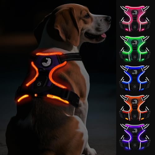 Joytale Hundegeschirr Leuchtend Aufladbar für Mittelgroße Hunde, No Pull LED Hundegeschirr Reflektierend mit Griff, Gepolstertes Leuchtgeschirr Verstellbar für Nachtspaziergang, Lila, M von Joytale