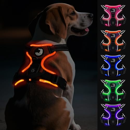 Joytale Hundegeschirr Leuchtend Aufladbar für Mittelgroße Hunde, No Pull LED Hundegeschirr Reflektierend mit Griff, Gepolstertes Leuchtgeschirr Verstellbar für Nachtspaziergang, Orange, M von Joytale