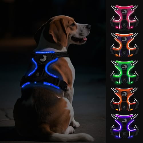 Joytale Hundegeschirr Leuchtend Aufladbar für Mittelgroße Hunde, No Pull LED Hundegeschirr Reflektierend mit Griff, Gepolstertes Leuchtgeschirr Verstellbar für Nachtspaziergang,Schwarzblau,M Joytale Hundegeschirr Leuchtend Aufladbar für Mittelgroße Hunde, No Pull LED Hundegeschirr Reflektierend mit Griff, Gepolstertes Leuchtgeschirr Verstellbar für Nachtspaziergang,Schwarzblau,M von Joytale